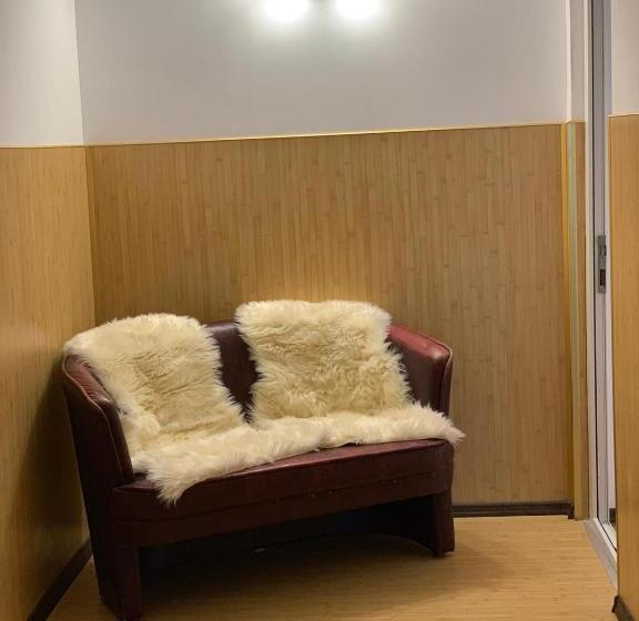 Пансион Trei Brazi 39