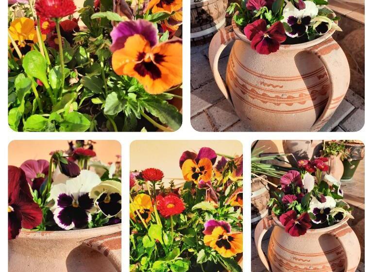 Pensiunea Casa Murani