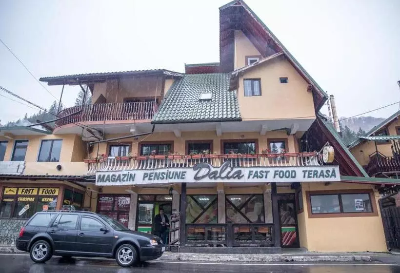 Pensiunea Dalia Voineasa