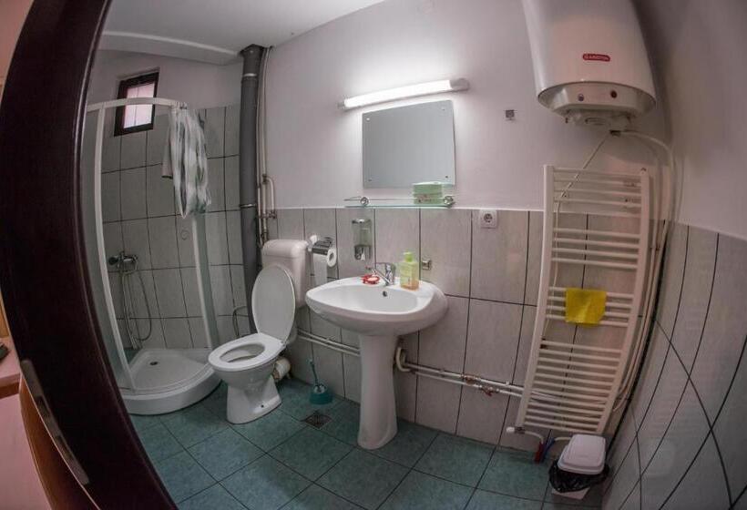 Pensiunea Dalia Voineasa