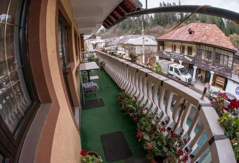 Pensiunea Dalia Voineasa