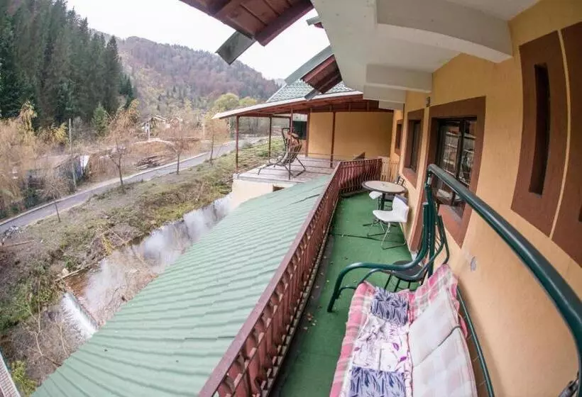 Pensiunea Dalia Voineasa