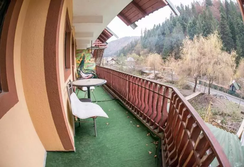 Pensiunea Dalia Voineasa