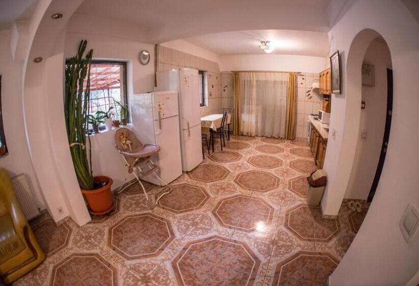 Pensiunea Dalia Voineasa