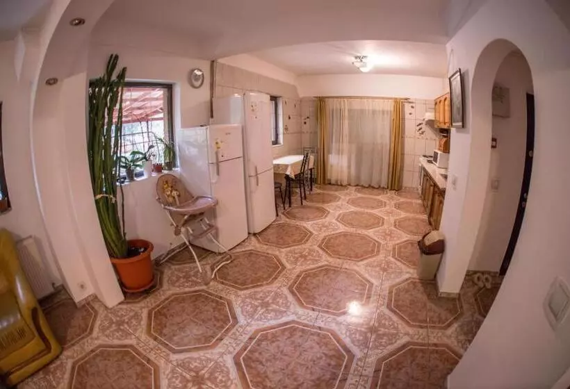 Pensiunea Dalia Voineasa