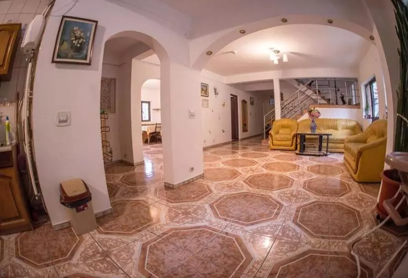 Pensiunea Dalia Voineasa