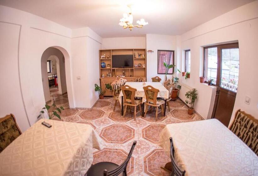 Pensiunea Dalia Voineasa