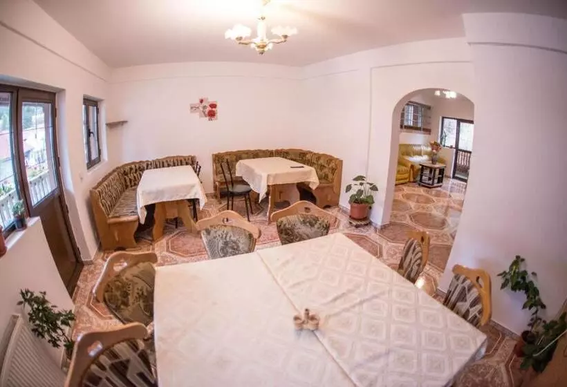 Pensiunea Dalia Voineasa