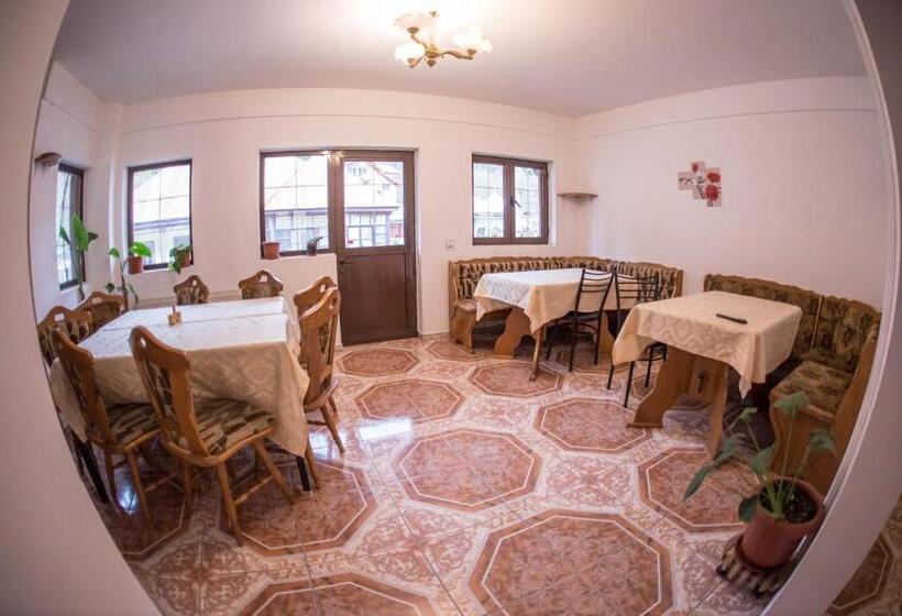 Pensiunea Dalia Voineasa