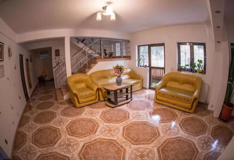 Pensiunea Dalia Voineasa