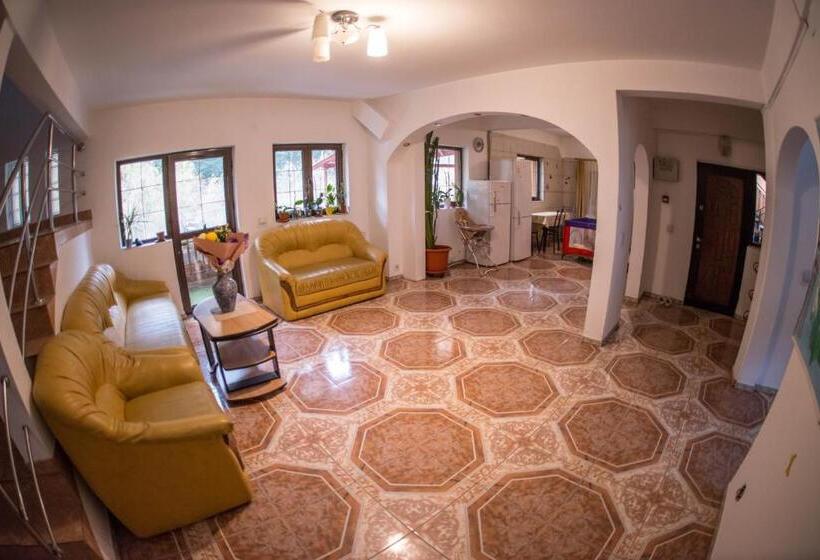 Pensiunea Dalia Voineasa