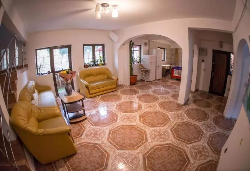 Pensiunea Dalia Voineasa