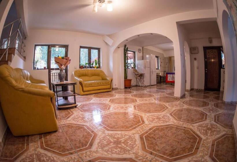 Pensiunea Dalia Voineasa