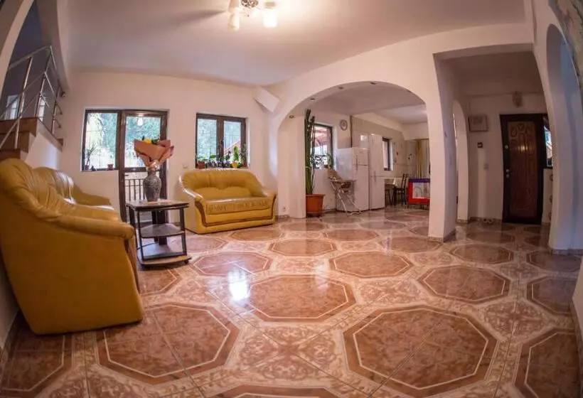 Pensiunea Dalia Voineasa