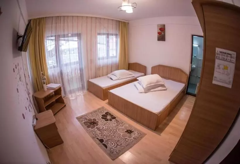 Pensiunea Dalia Voineasa