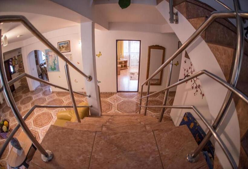 Pensiunea Dalia Voineasa