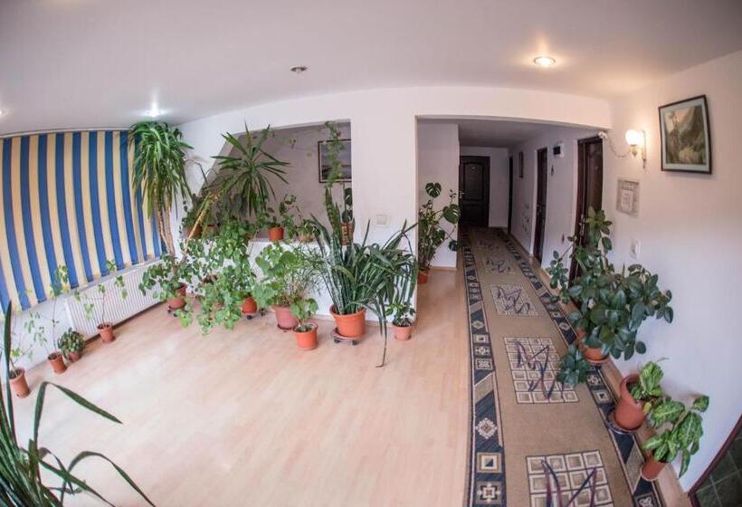 Pensiunea Dalia Voineasa