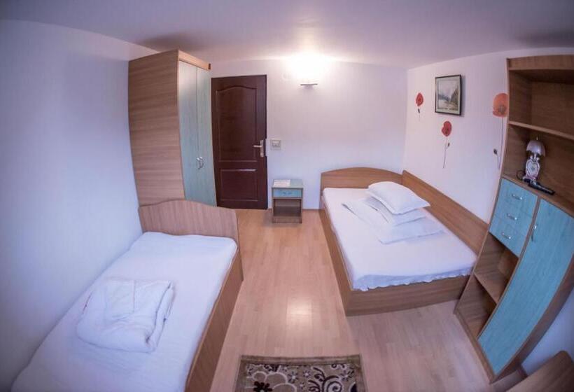 Pensiunea Dalia Voineasa