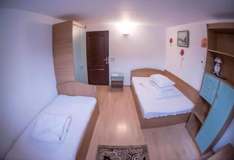 Pensiunea Dalia Voineasa