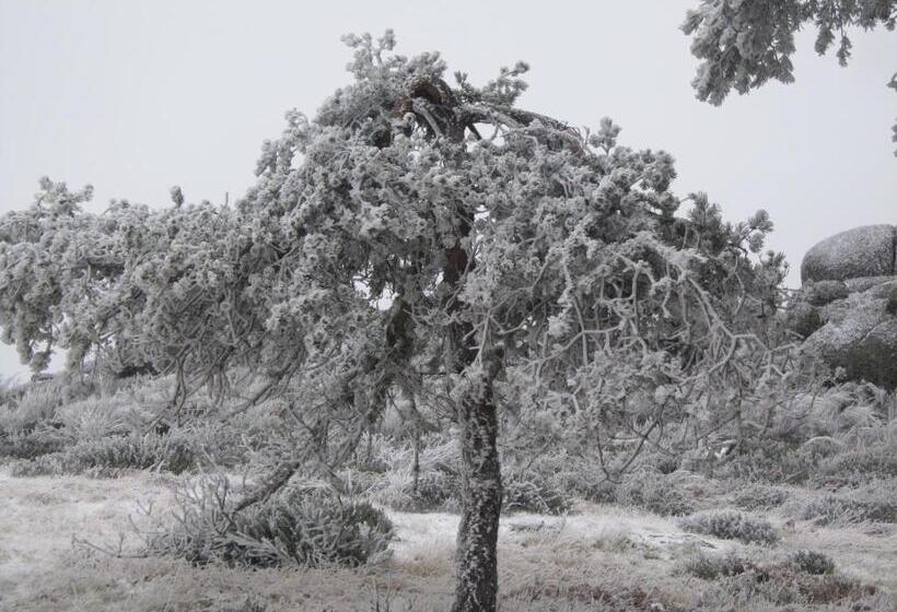 旅馆 Residencial Mira Sol