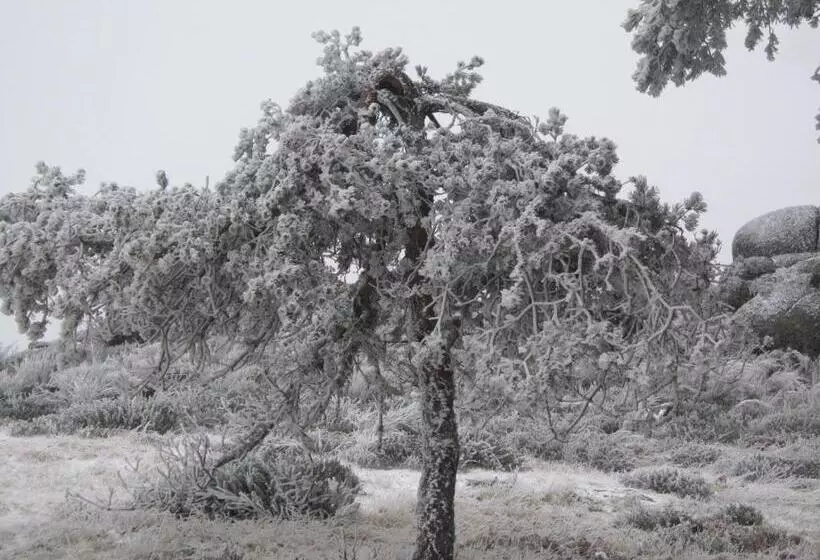 Retkeilymaja Residencial Mira Sol