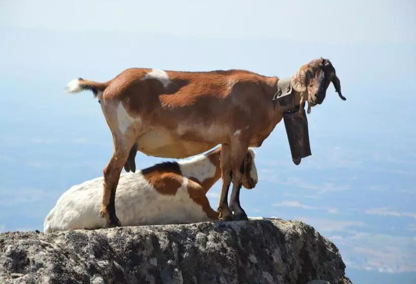 Retkeilymaja Residencial Mira Sol