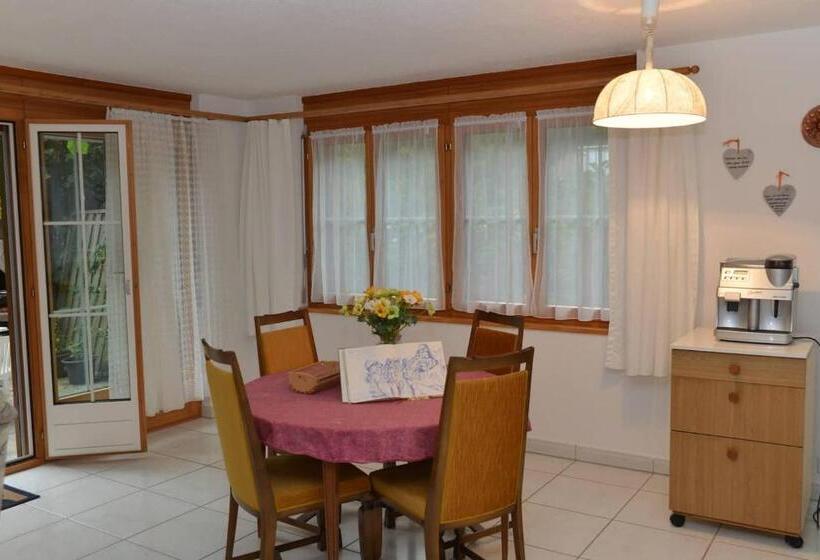 Bed and Breakfast Skihaus Bergheimat Apartment Zur Piste Selbstversorgung Oder Ums Eck Gibt Es Ein Gutes Frühstück