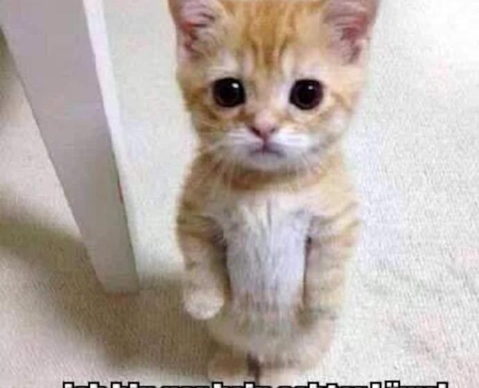 Bed and Breakfast Skihaus Bergheimat Apartment Zur Piste Selbstversorgung Oder Ums Eck Gibt Es Ein Gutes Frühstück