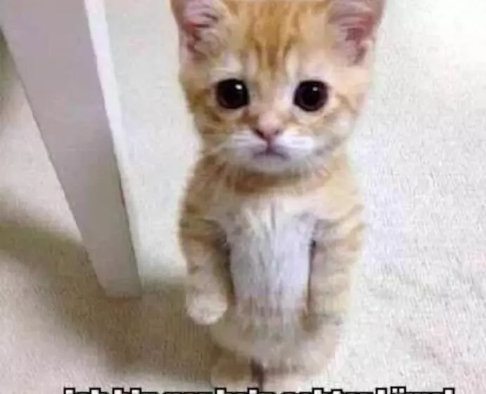 Aamiaismajoitus (B&B) Skihaus Bergheimat   Apartment Zur Piste   Selbstversorgung Oder Ums Eck Gibt Es Ein Gutes Frühstück