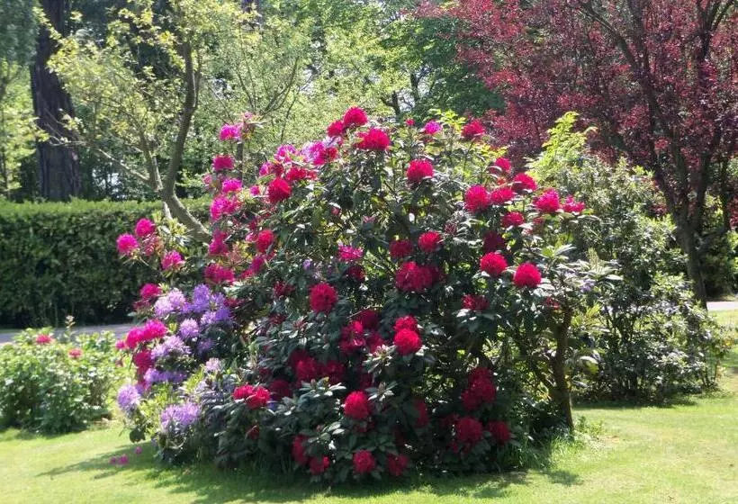 Aamiaismajoitus (B&B) Le Point Du Jour