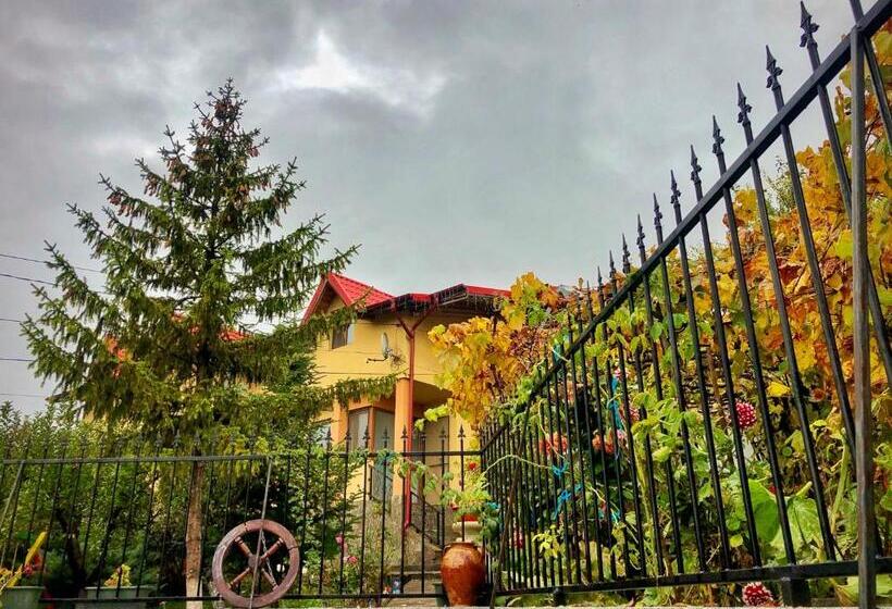 צימר Pensiunea Portas Resort