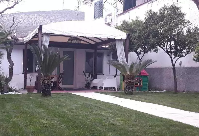 Blue B&b