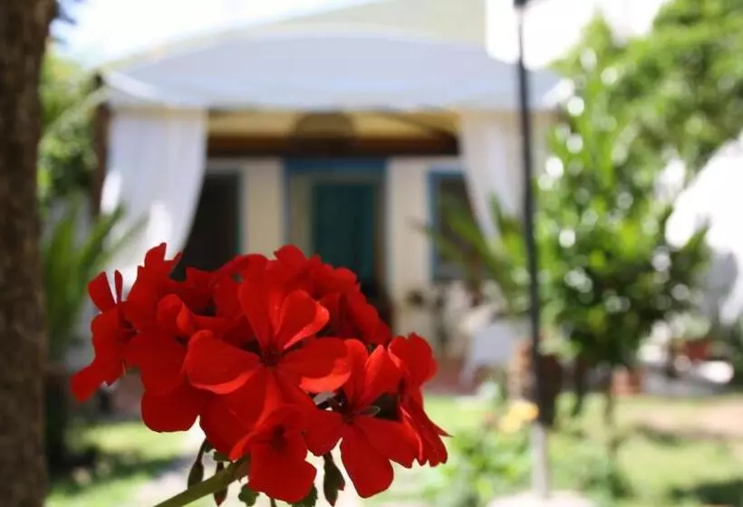 Blue B&b