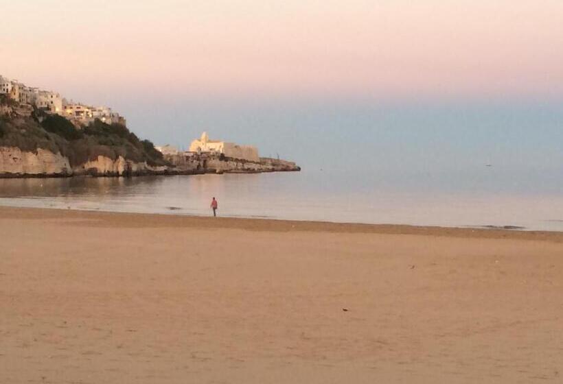 בית מלון כפרי Aurora