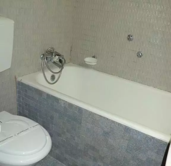 Hotel Banat