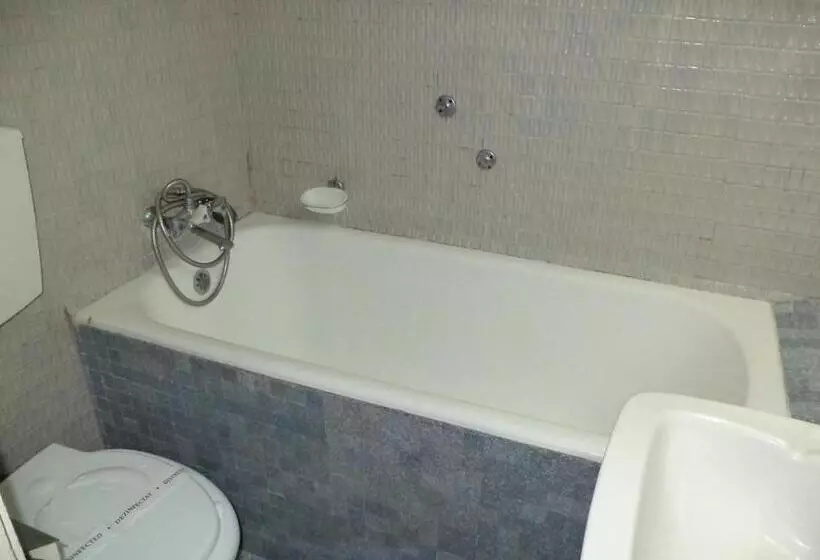 Hotel Banat