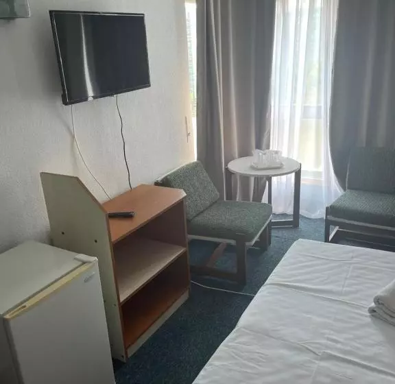 Hotel Banat