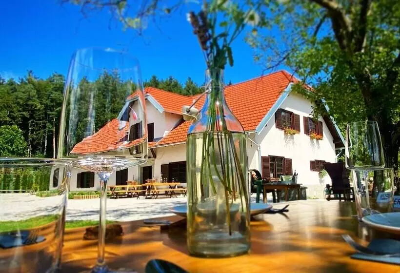 هتل Opa Resort