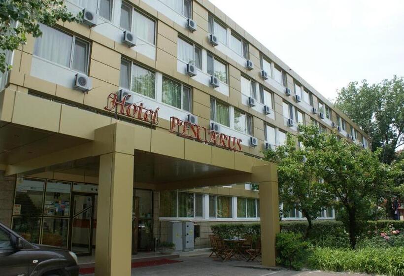 בית מלון כפרי Pescarus