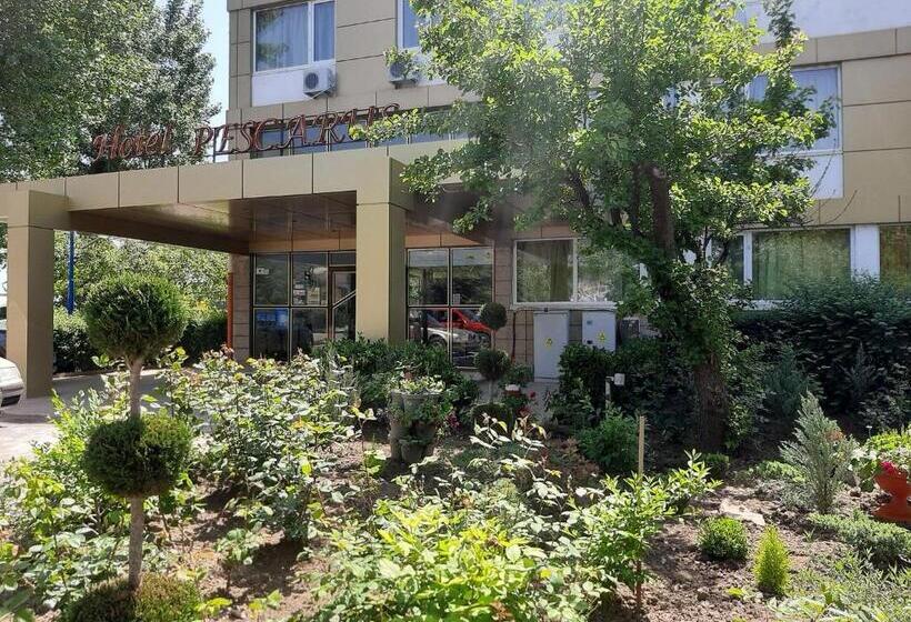 בית מלון כפרי Pescarus