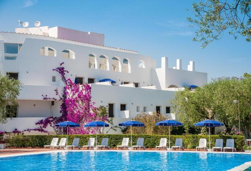 Отель Torre Oliva