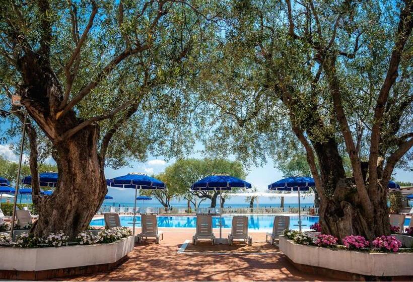 Отель Torre Oliva