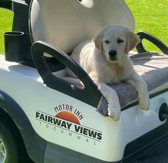 מוטל Fairway Views Motor Inn