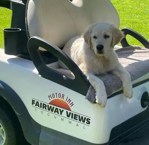 Motelli Fairway Views Motor Inn