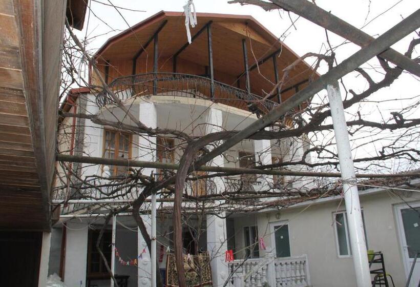 پانسیون Guesthouse David