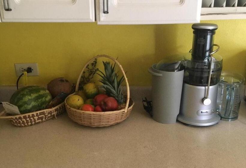 پانسیون Treaysures