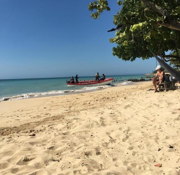 پانسیون Treaysures