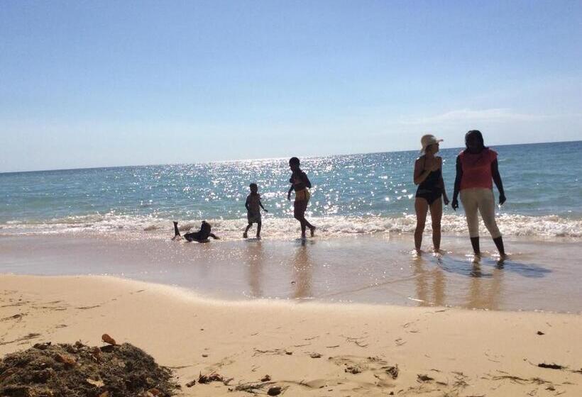 پانسیون Treaysures