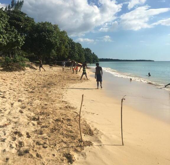 پانسیون Treaysures