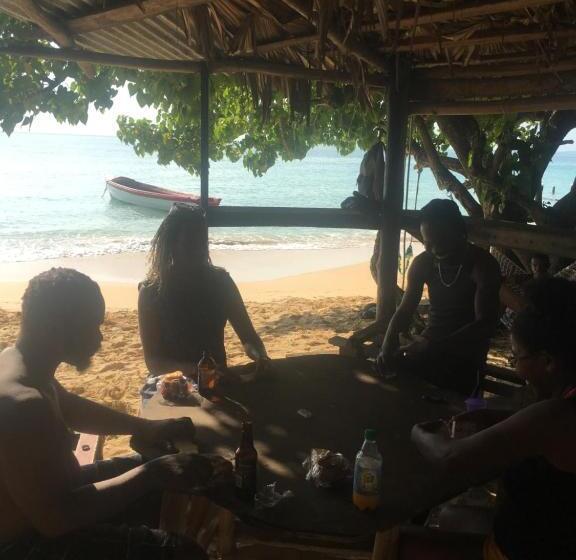 پانسیون Treaysures